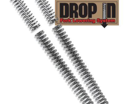 Progressive Metric Drop In Fork Lowering Spring Kits Online