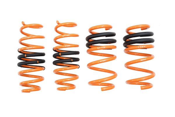 Megan Racing Tesla Model Y 19+ AWD Lowering Springs Online now