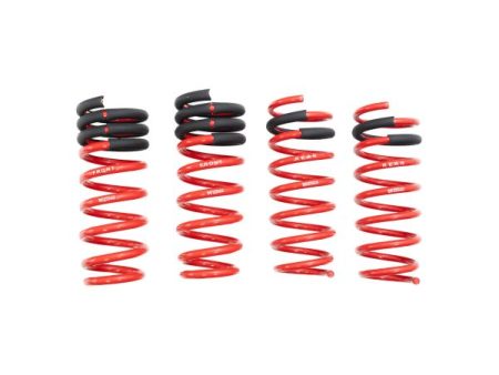 Megan Racing BMW 8-Series 19+ (G15 G16, EXC Vert) Lowering Springs Cheap